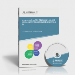 2019-2024年中國計(jì)算機(jī)軟件與技術(shù)服務(wù)行業(yè)運(yùn)營態(tài)勢與投資前景調(diào)查研究