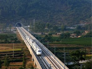 道路、橋梁、隧道與市政工程質(zhì)量控制精華集萃——筑龍論壇專(zhuān)業(yè)分享